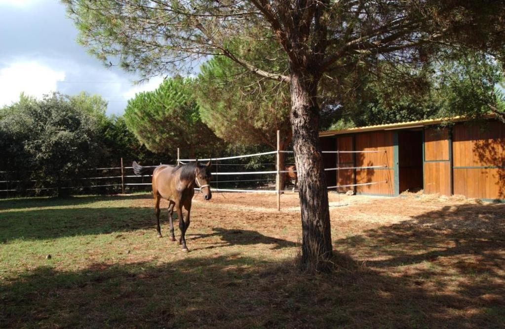 Tenuta Don Monaco - Agriturismo Santa Cesarea Terme Exterior photo